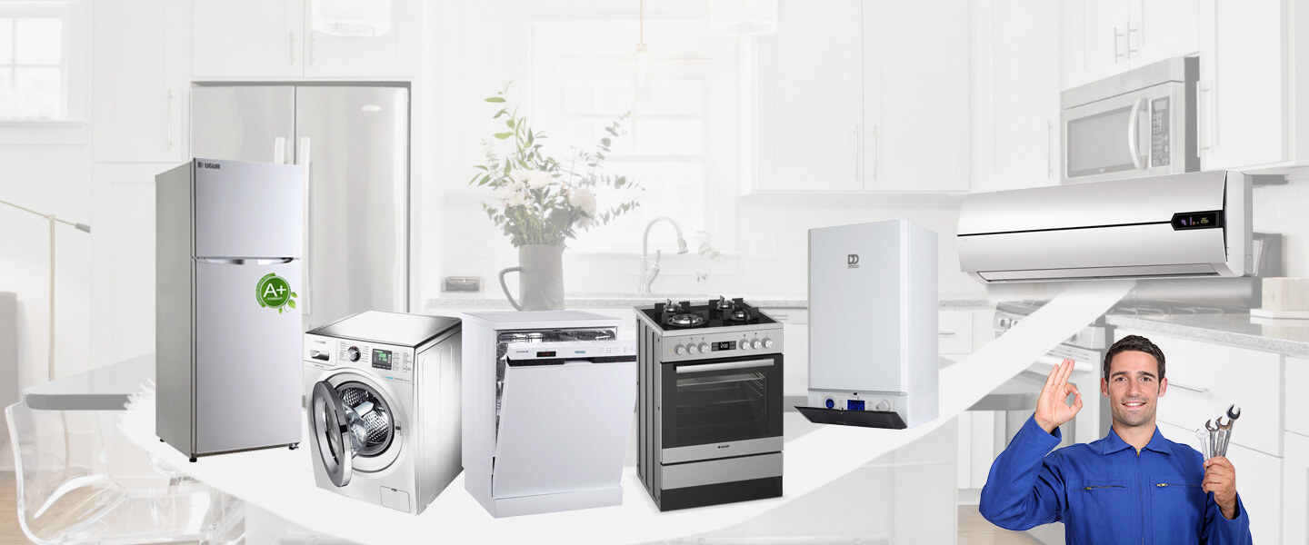 Küre Warmhaus Servisi